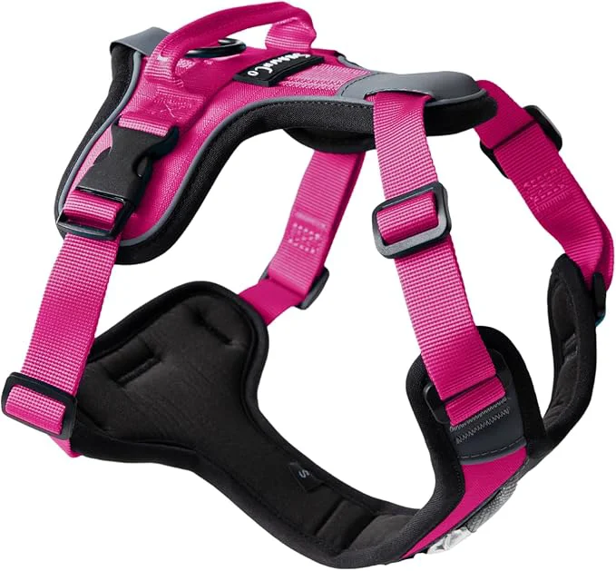 Clean ShawnCo Basecamp Dog Harness No-Pull Pet Vest with 3 Leash Clips Padded Reflective Lightweight and Adjustable Harness with Handle for Small Medium and Large Dogs Orchid M About ThisOverview Efficient