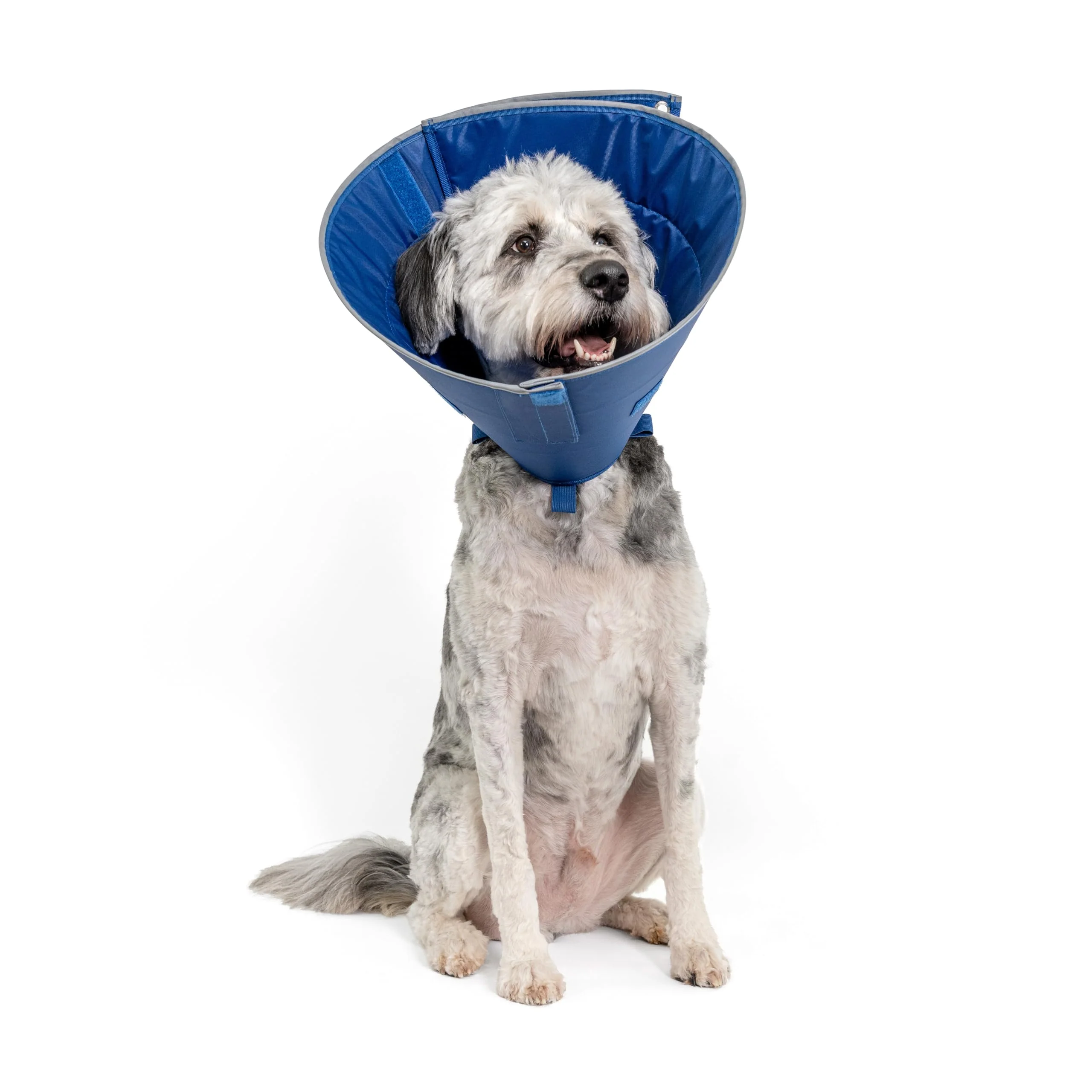 Refined Calm Paws Dog Caring Collar W Calming Medium Gentle Adjustable E-Collar with Calming Disk Recyclable