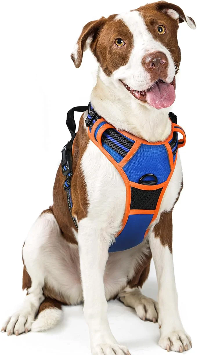 High-Performance rabbitgoo Dog Harness No Pull with 2 Leash Clips Adjustable Soft Padded Reflective Oxford No Choke Pet Vest with Easy Control Handle for Large Dogs Blue Orange LAbout ThisOverview Casual