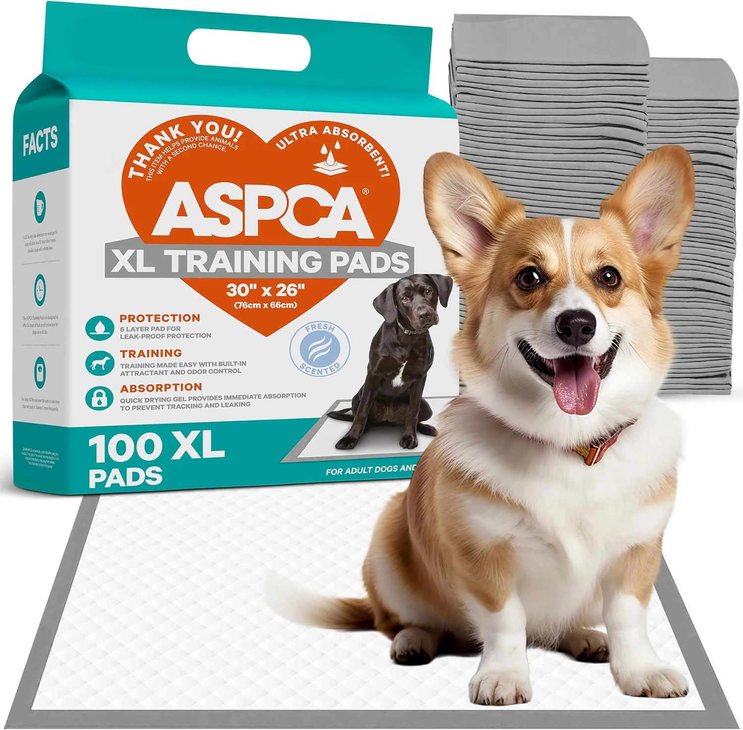 Contemporary Puppy Pads 100 Count Dog Pee Pads with Odor Control 26x30 XL for Indoor Outdoor Use Professional