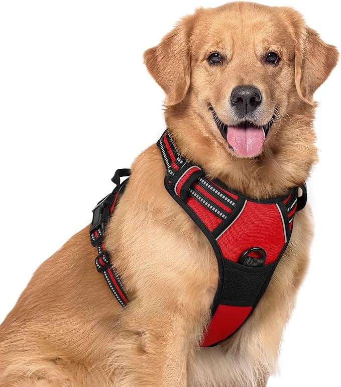 Superior rabbitgoo Dog Harness No Pull with 2 Leash Clips Adjustable Soft Padded Reflective Oxford No Choke Pet Vest with Easy Control Handle for Large Dogs Red XLAbout ThisOverview Carefully Designed