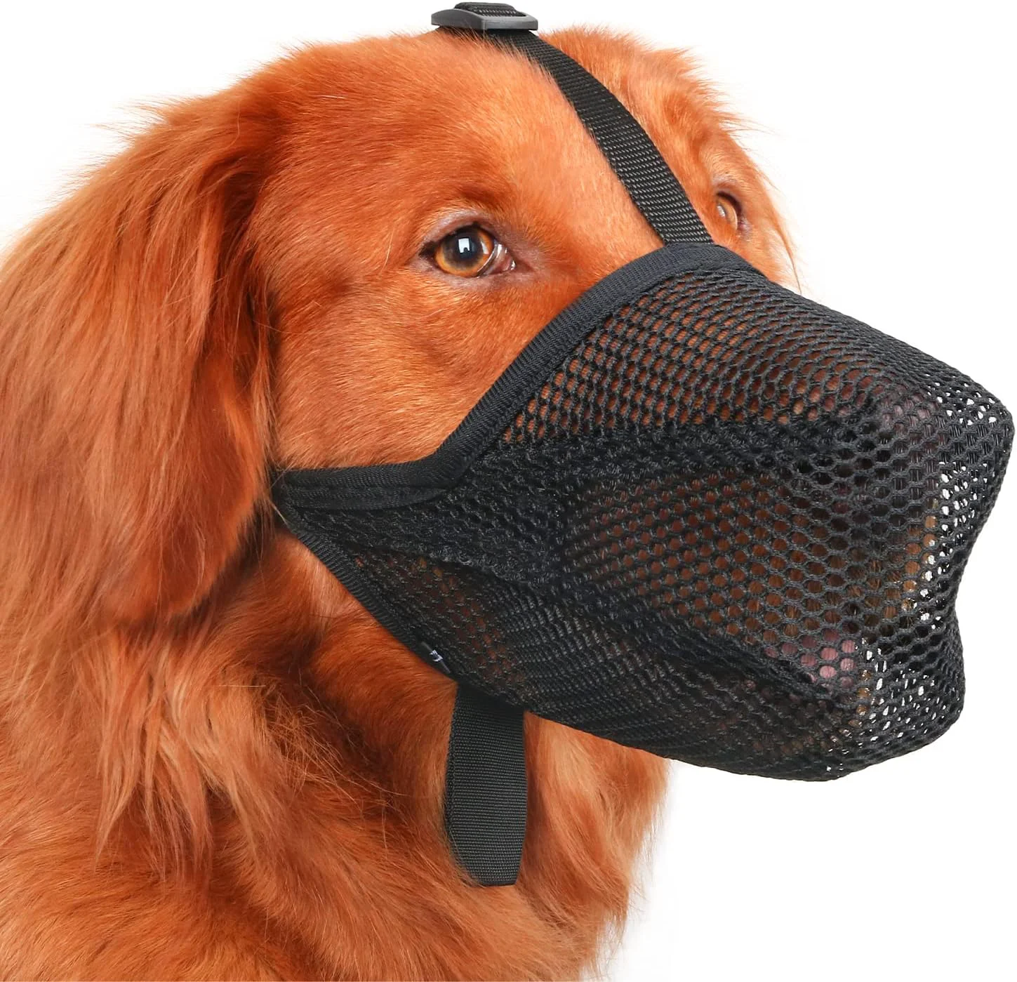 Effective Mayerzon Dog Muzzle Patented Soft Mesh Muzzle for Small Medium Large Dogs for Scavenging Biting Licking and Chewing Allows to Pant and Drink XXS Black Authentic