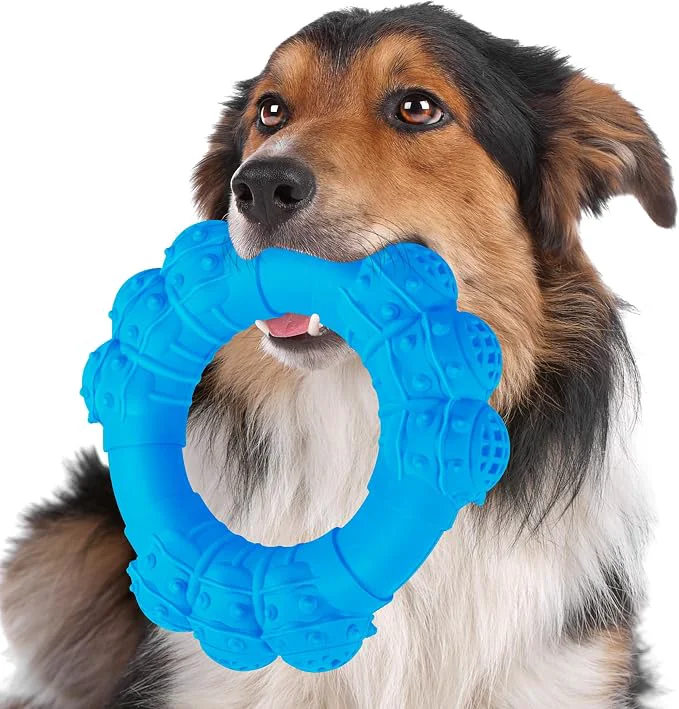 Professional Indestructible Dog Chew Ring Toys Fast