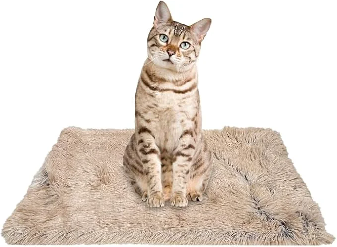 Environmentally Friendly PJYuCien Dog Blankets for Small Dogs Washable First-Class