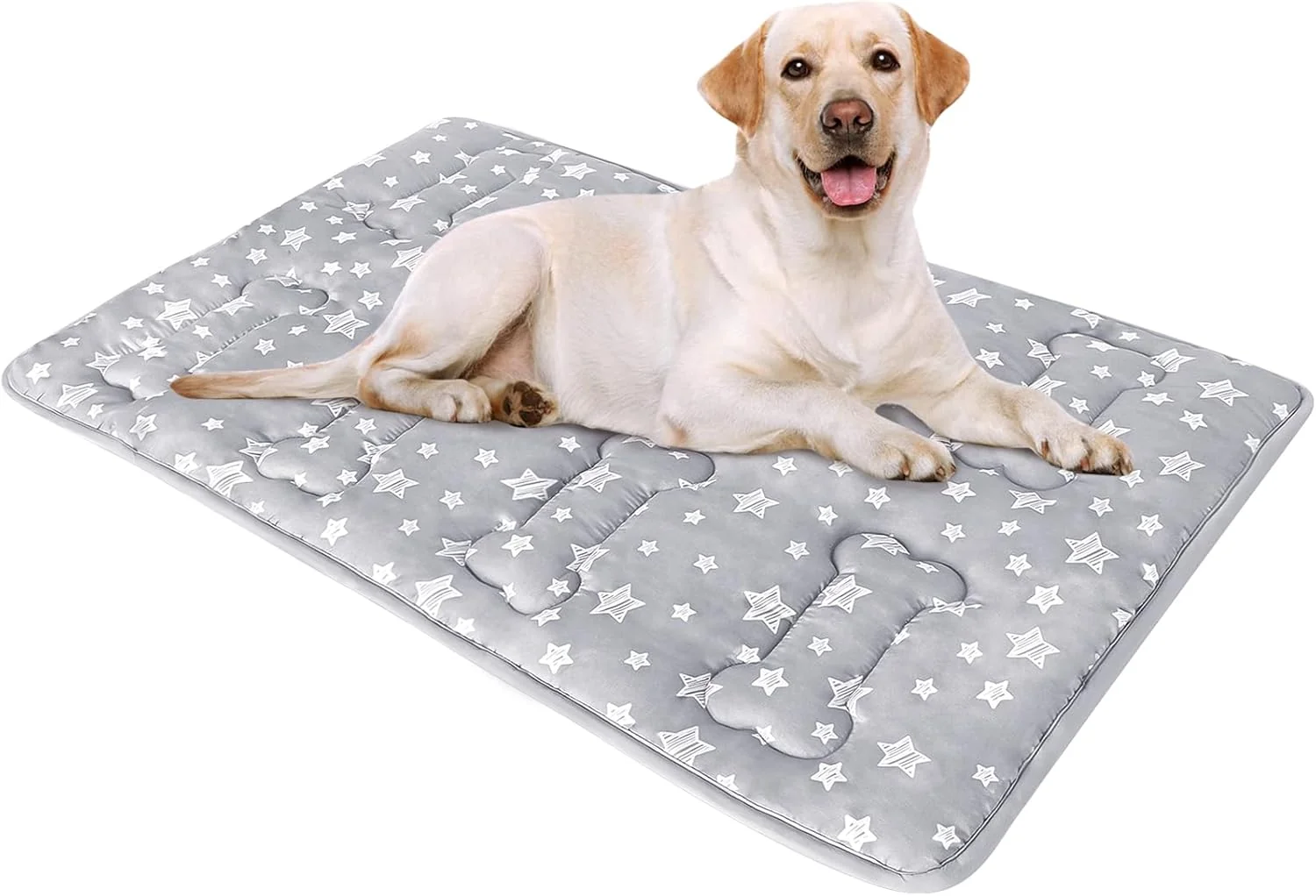 Authentic Dog Crate Bed Mat 36 X 23 Soft Dog Bed Mat with Cute Recyclable