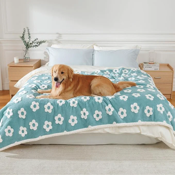 Crafted Luciphia Waterproof Pet Blanket Fast