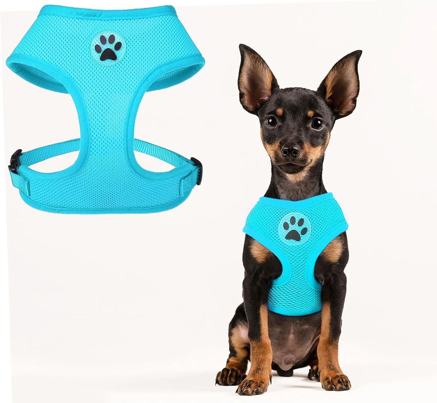 Carefully Designed BINGPET No Pull Dog Harness Soft Mesh Breathable All Weather Vest Harness Safety Protection Design Durable Adjustable Step-in Easy Walk Dog Harness for Small Medium Large Dogs RoyalBlue XS Smooth