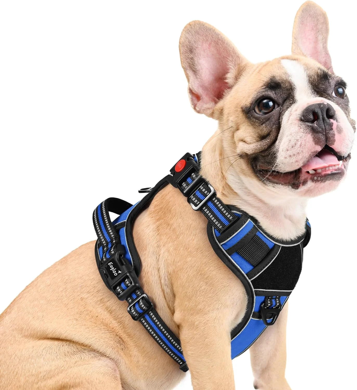 Eagloo Dog Harness Medium Sized Easy Wearing with 3 Buckles Adjustable No Pull Pet Harness with 2 Rings for Walking No Chock Reflective Soft Padded Vest with Control Handle Blue Black M High-End