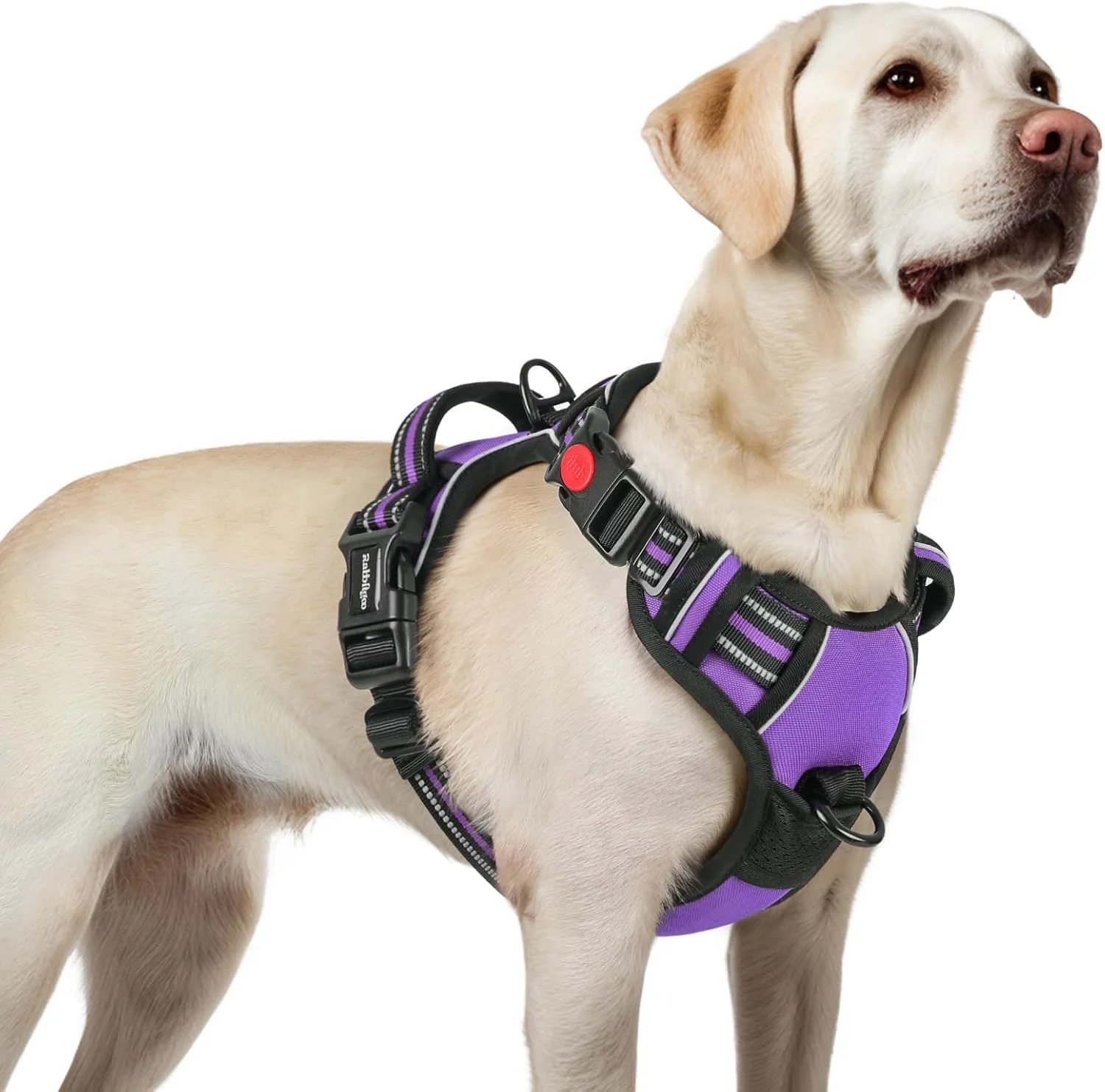 Smooth rabbitgoo Dog Harness for Large No Pull Pet Harness with 3 Buckles Adjustable Soft Padded Vest with Control Handle Walking Reflective Pet Vest for Large Dogs Purple L Dependable