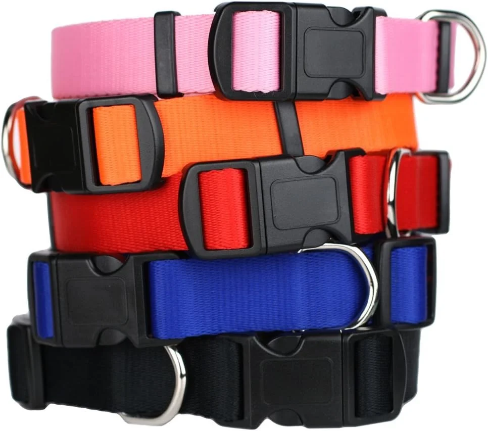 World-Class GoTags Dog Collars Durable Solid Nylon Dog Collars in 5 Color Options and 4 Adjustable Sizes for Puppy and Dogs Extra Small Small Medium or Large Fashionable
