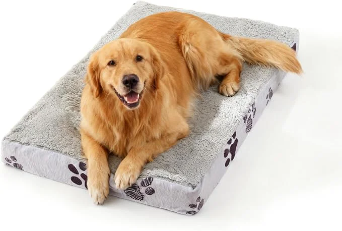 Contemporary Waterproof Orthopedic Dog Bed for Large Medium Sized Dogs 35x22 Inch Elite