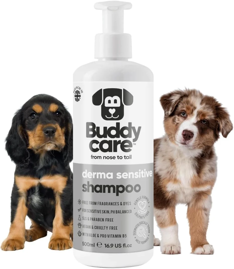 Crafted Derma Sensitive Dog Shampoo by Buddycare Dry Skin Itchy Skin Relief for Smelly Dogs Deep Cleansing for Dogs Puppy Sensitive Skin Dog Shampoo Conditioner with Aloe Vitamin B5 16.90oz High-Grade