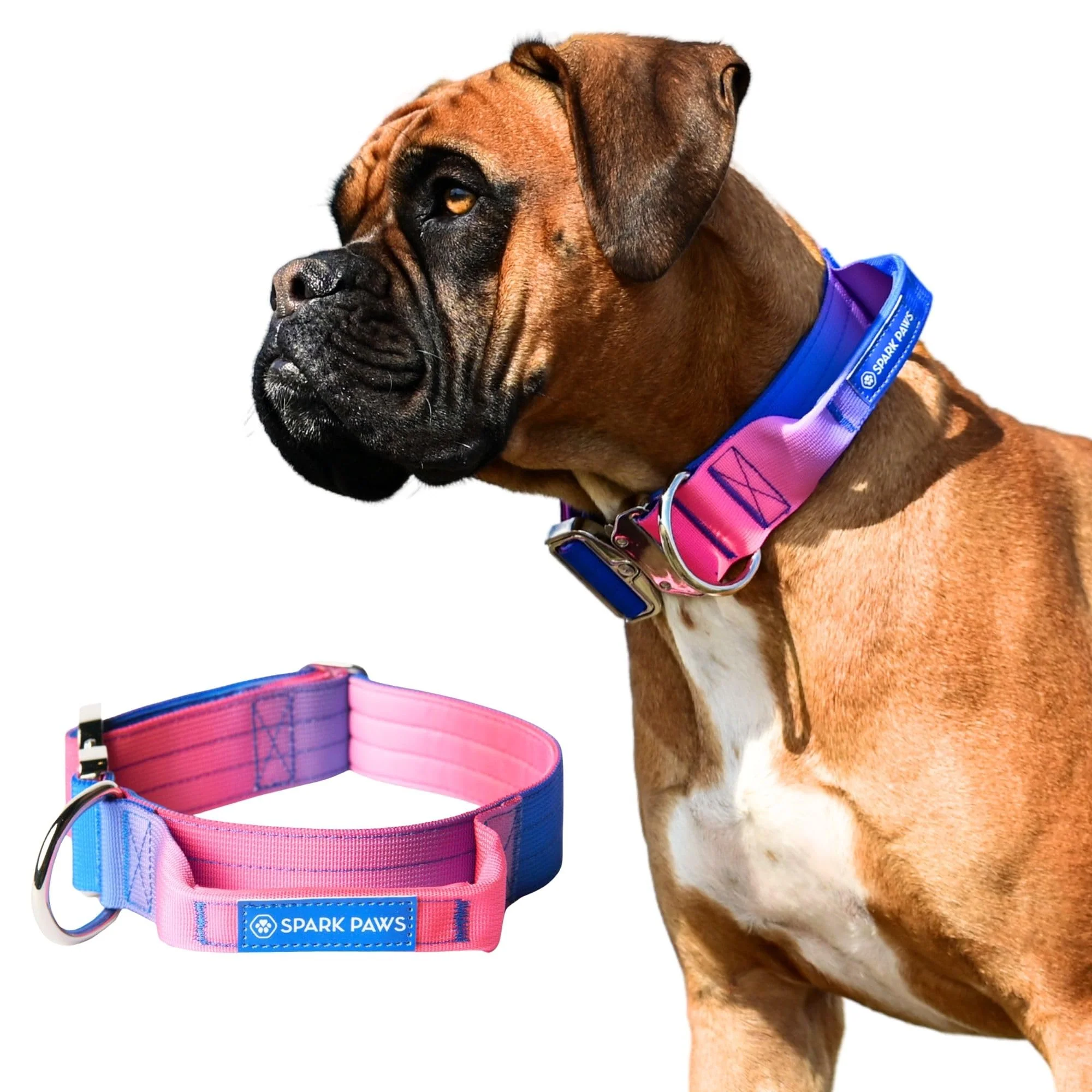 Stylish Spark Paws Tactical Dog Collar with Handle - Premium Nylon Robust Durable for Large Breeds - Snow Cone - L World-Class
