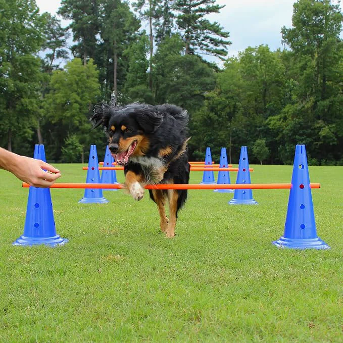 Fine Dog Agility Hurdle Cone Set Flexible