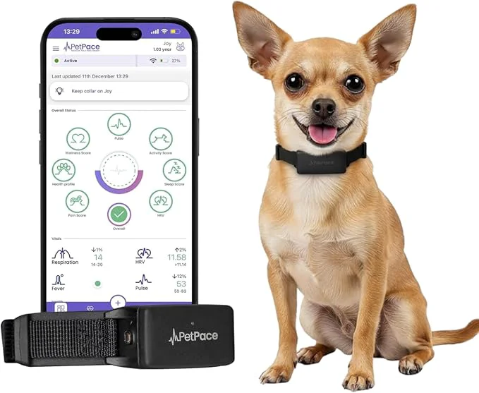 Dependable NEW Dog Health Monitor V3.0 by PetPace – AI Smart Collar Innovative