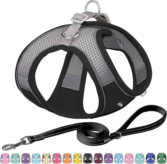 Certified AIITLE Escape Proof Dog Harness Soft