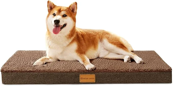 Carefully Designed Patas Lague Orthopedic Dog Bed Large Sized Dog 36''X24'' Soft Waterproof Egg Reliable