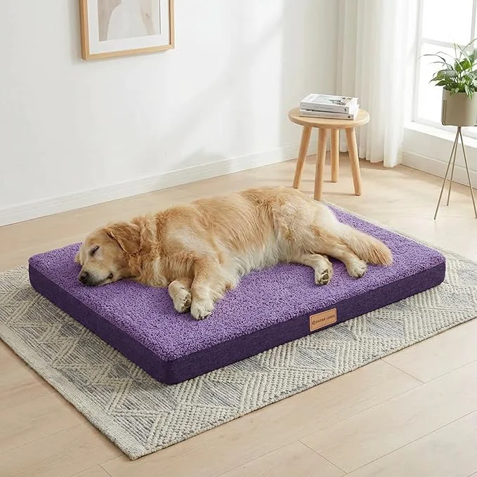 Solid Patas Lague Orthopedic XL Dog Bed Large Sized Dog 48''X30'' Soft Waterproof Elegant