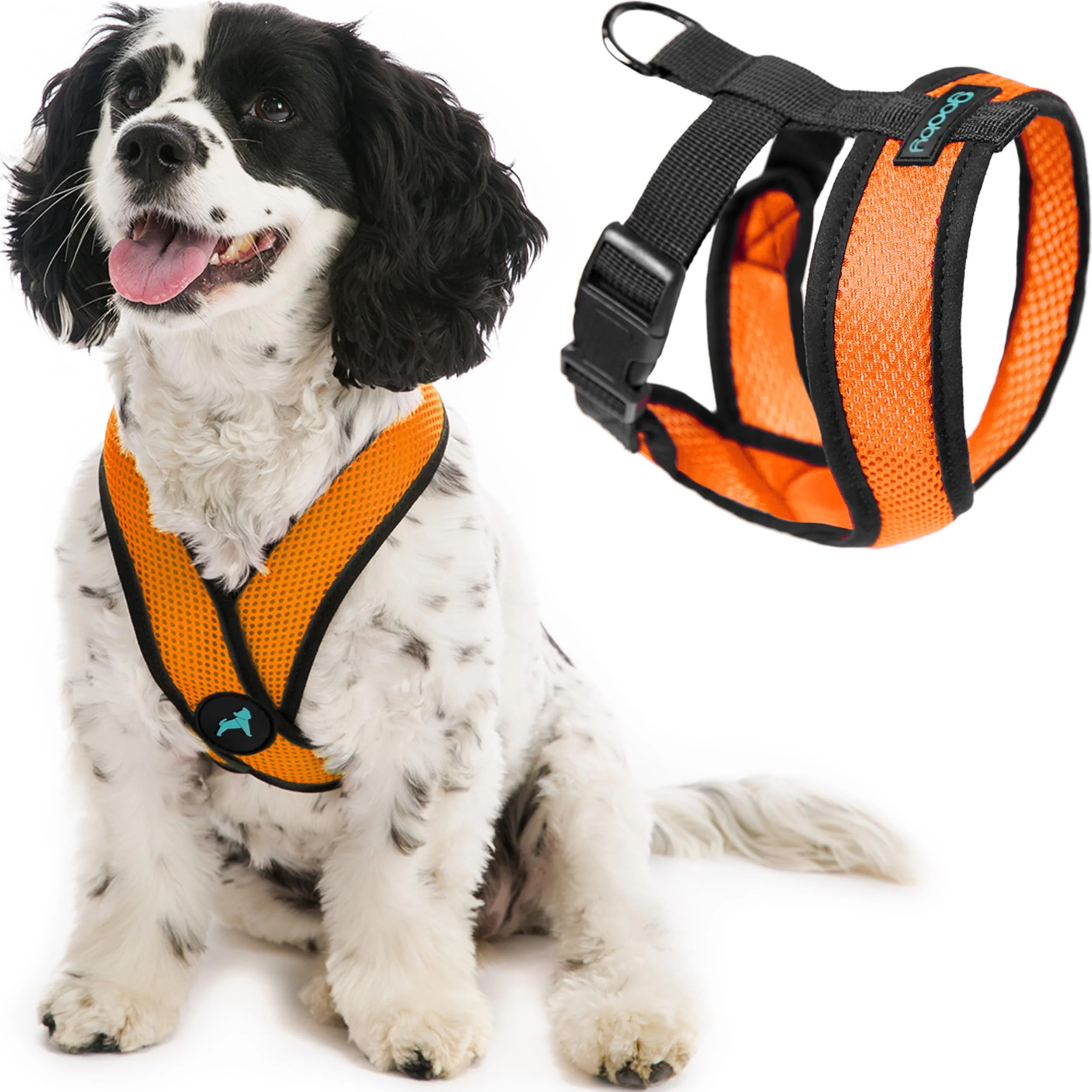 Fashionable Gooby Comfort X Head-in Harness - Orange Small No-Pull Choke- X Frame for Small Breeds Clean