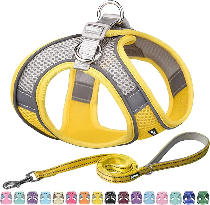 Carefully Designed AIITLE Comfortable Dog Harness and Leash Set Advanced
