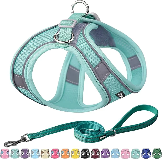Top-Quality AIITLE No Pull Dog Harness and Leash Set Step in Adjustable Dog Harness Secure