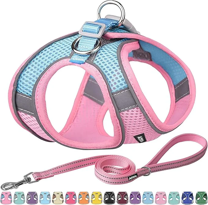 Versatile AIITLE Step in Dog Harness and Leash Set Original