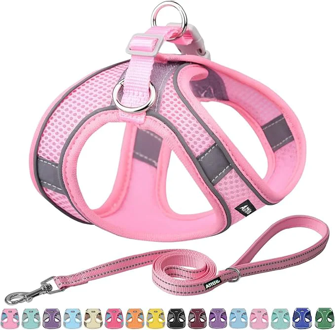 Trendy AIITLE Comfortable Dog Harness and Leash Set Safe