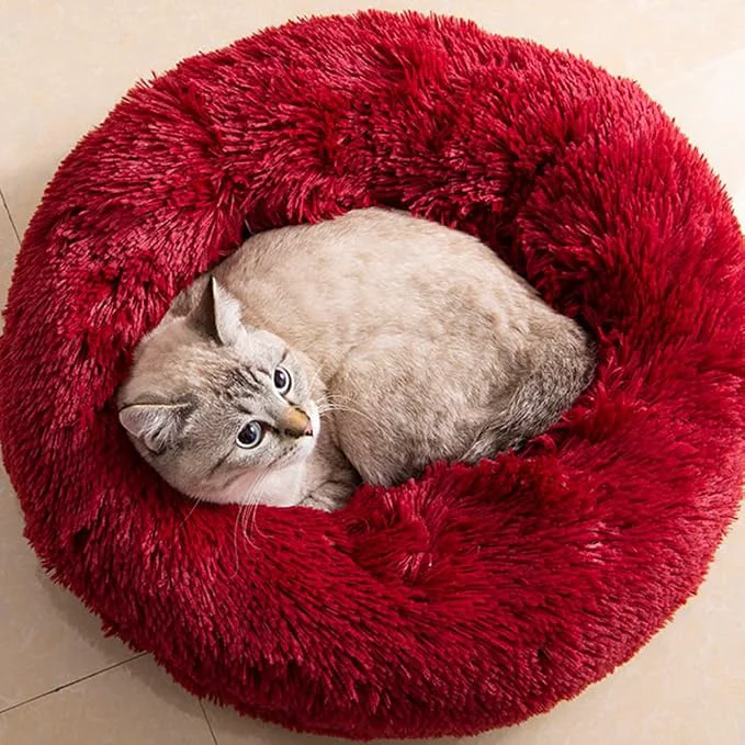 Relaxed Cat Beds for Indoor Cats Trusted