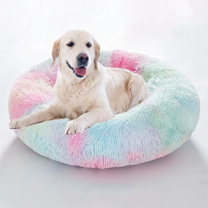 High-Grade Cat Beds for Indoor Cats Healthy