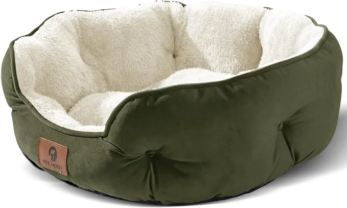 Advanced Asvin Medium Dog Bed for Medium Dogs Cat Beds for Indoor Cats Pet Bed for Minimalist