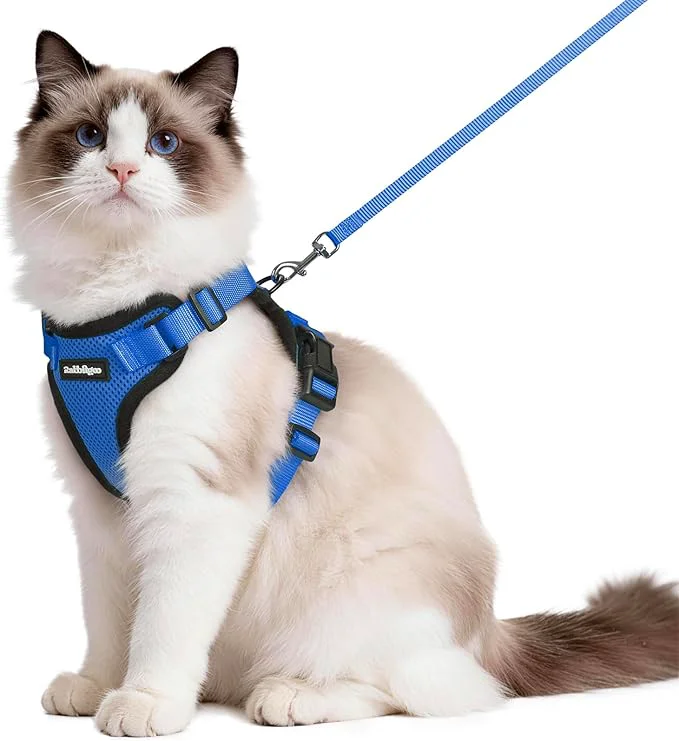 Refined rabbitgoo Cat Harness and Leash Advanced