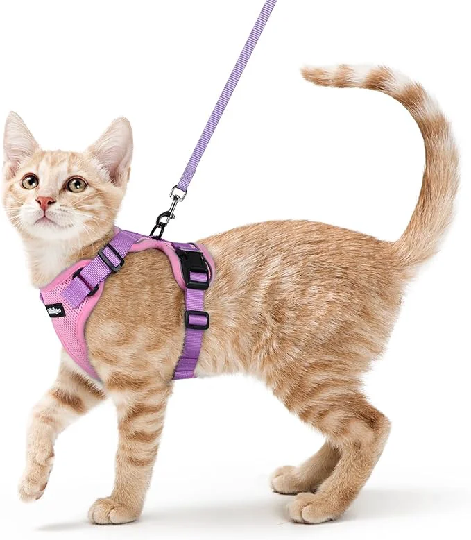 High-End rabbitgoo Cat Harness and Leash Excellent