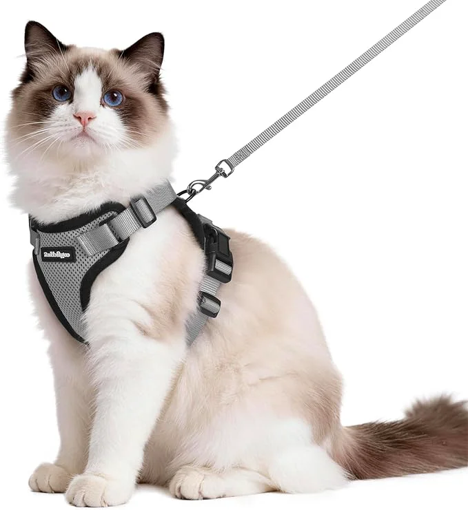 Selected rabbitgoo Cat Harness and Leash Sophisticated