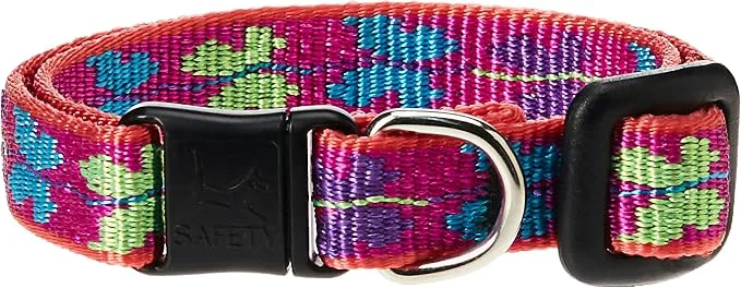 Long-Lasting LupinePet s 1 2 Wing It Cat Safety Collar Innovative
