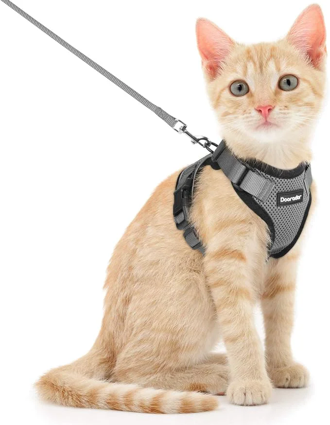 Sophisticated Dooradar Cat Harness and Leash Set Escape Proof Safe Adjustable Kitten Vest Green