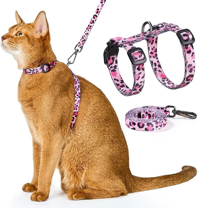 Premium Cat Harness and Leash Set Quality