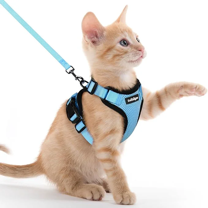 Safe rabbitgoo Cat Harness and Leash Clean