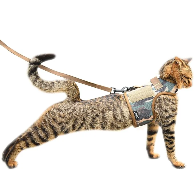 Superior Tactical Cat Harness and Leash for Walking Escape Proof Breathable Mesh Fabric Elegant