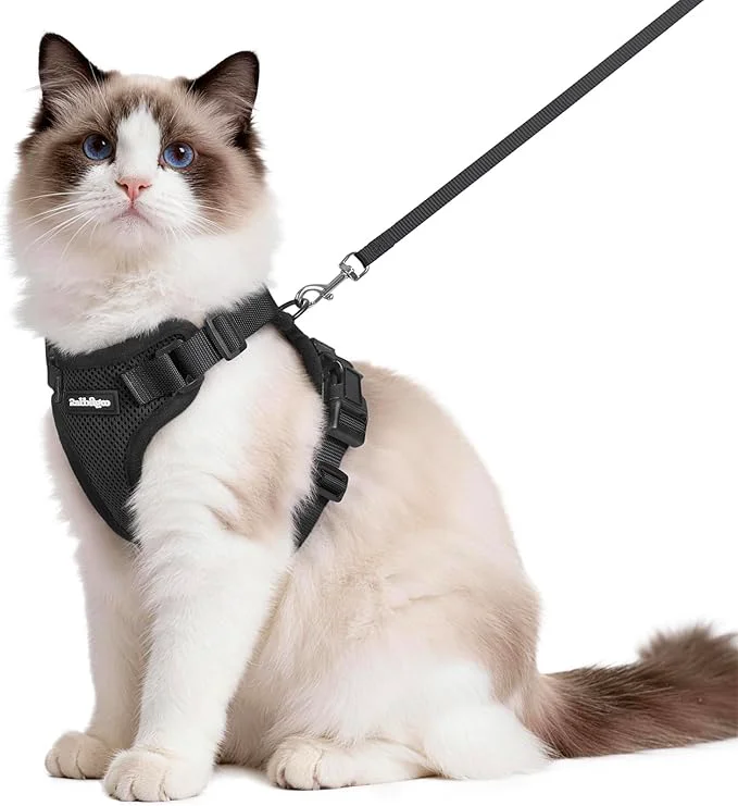 Consistent rabbitgoo Cat Harness and Leash Luxury