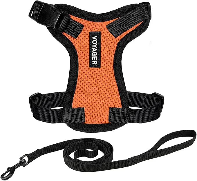 Trusted Voyager Escape-Proof Step-in Lock Cat Harness 5ft Neoprene-Handle Leash Set Reusable