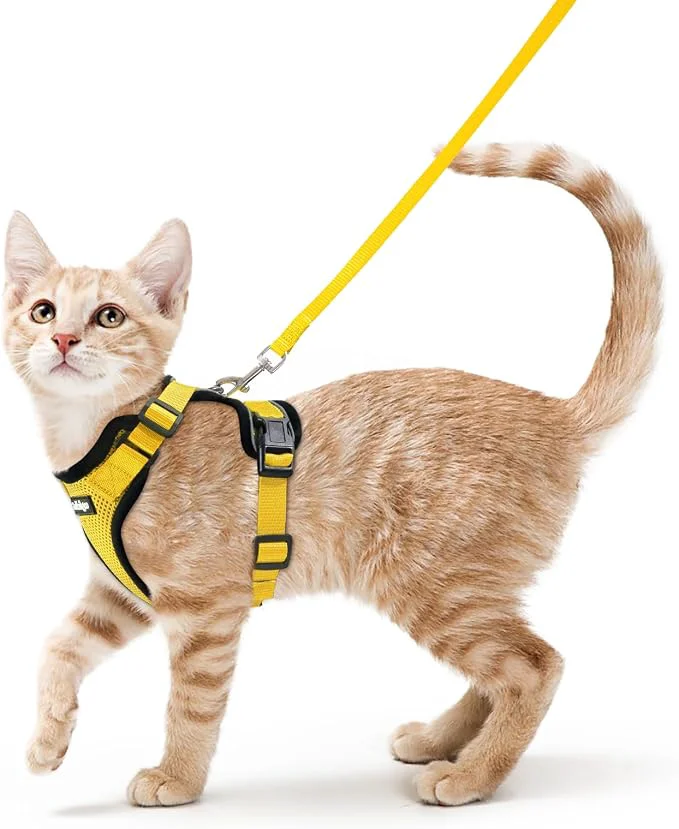 World-Class rabbitgoo Cat Harness and Leash Durable
