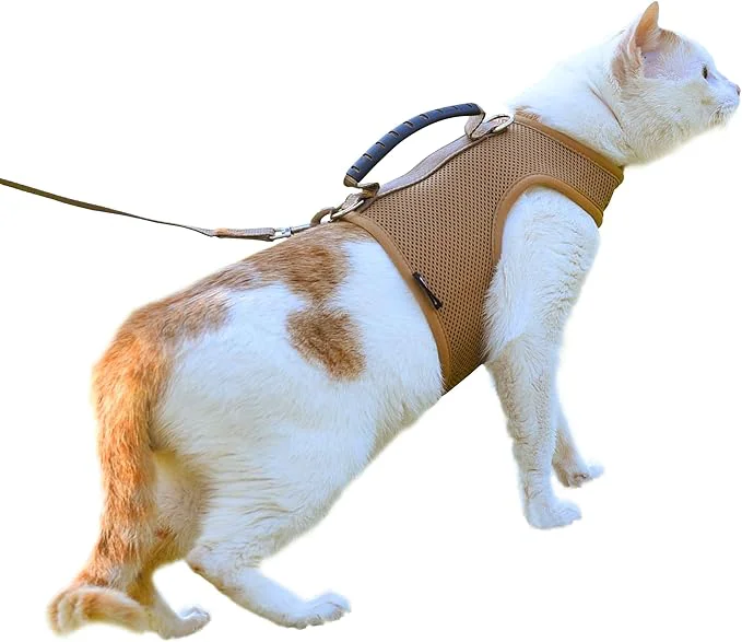 Trendy Cat Harness and Leash for Walking Escape Proof Breathable Mesh Fabric Solid Quality