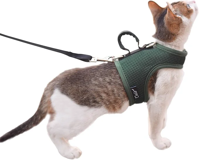 High-Grade Cat Harness and Leash for Walking Escape Proof Breathable Mesh Fabric Solid Original Design