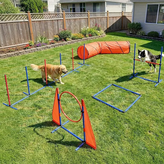 Classic YITAHOME Dog Agility Training Equipment Set Convenient