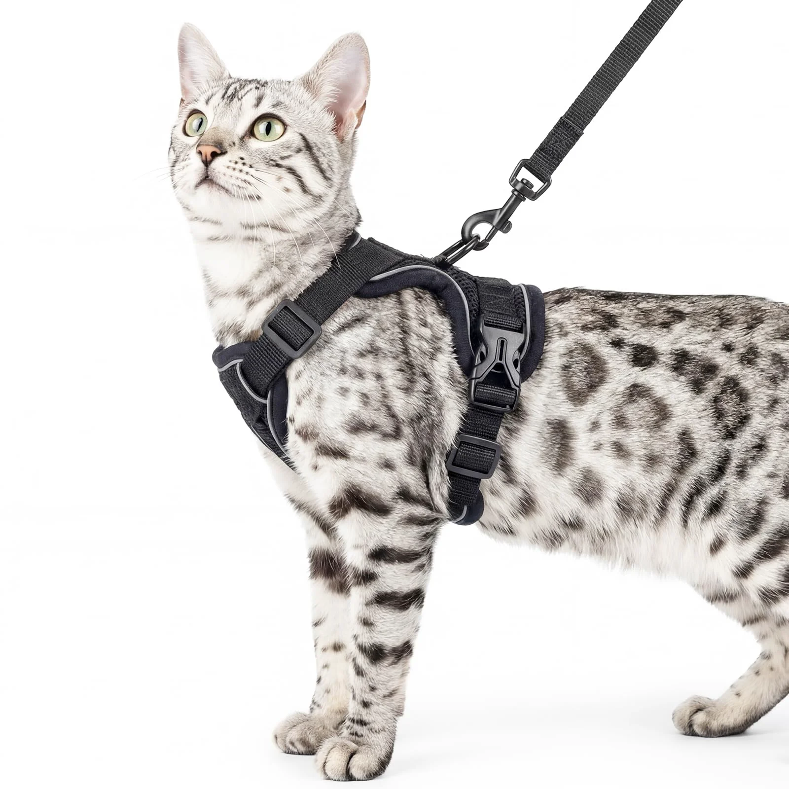 Convenient pangdi Cat Harness and Leash Set – Escape-Proof XXL Tactical Vest for Cats Classic