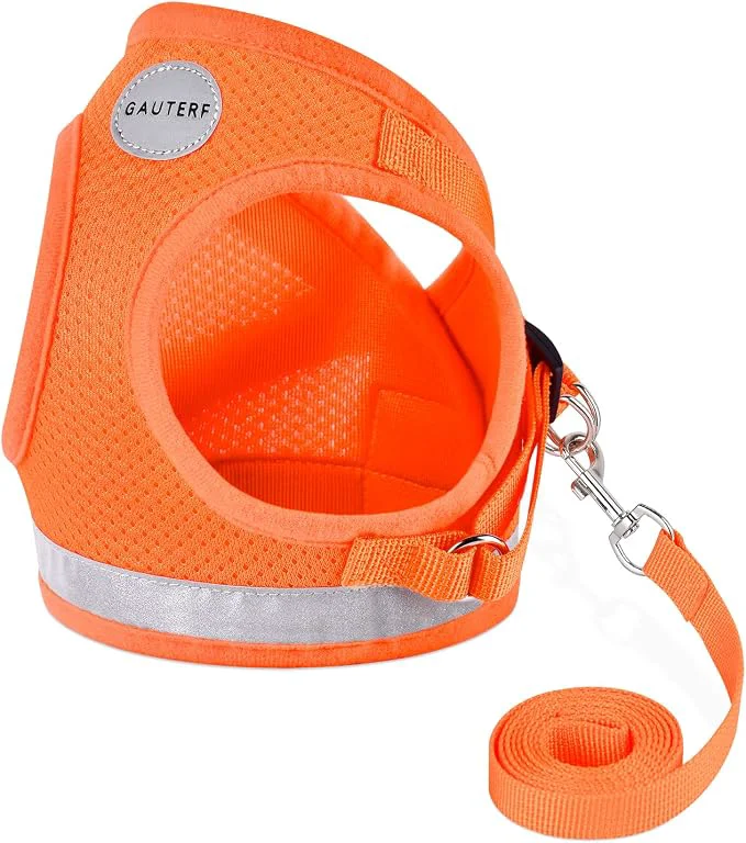Smart Cat Harnesses and Puppy Harness Modern