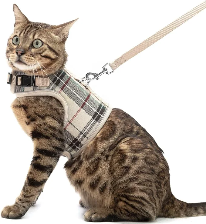 Verified PUPTECK Soft Mesh Cat Vest Harness and Leash Set Puppy Padded Pet Harnesses High-Performance