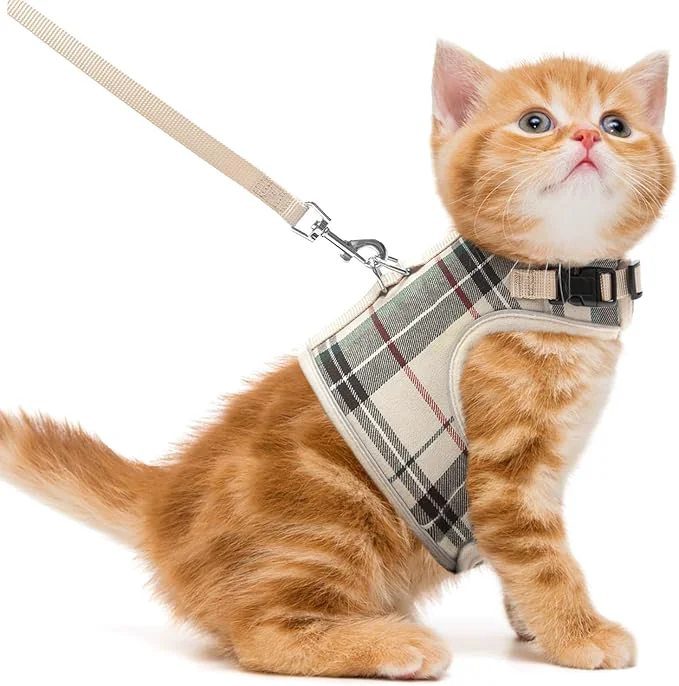 Exceptional PUPTECK Soft Mesh Cat Vest Harness and Leash Set Puppy Padded Pet Harnesses Top-Quality