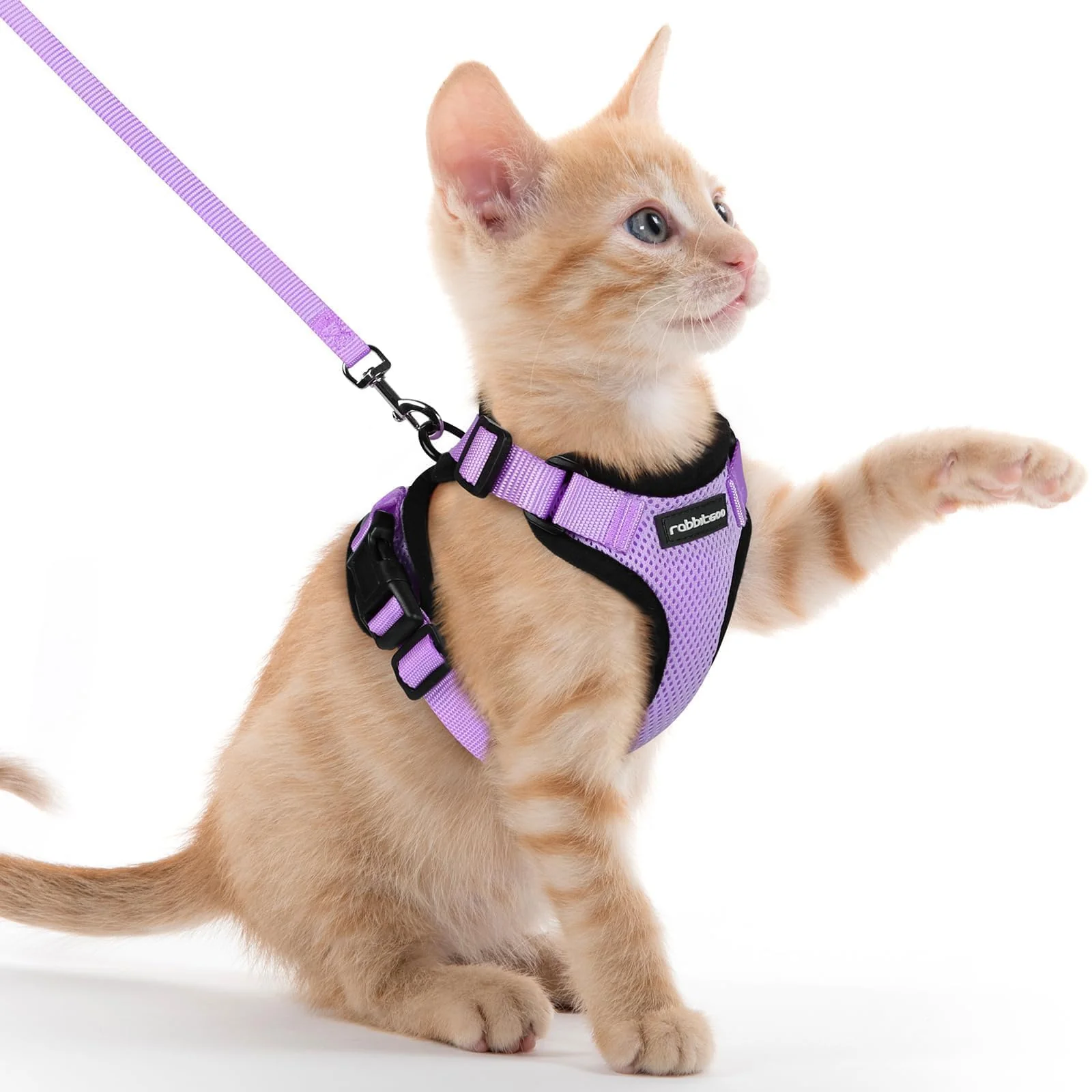 Premium Material Rabbitgoo Cat Harness Leash — Escape-Proof Soft Air-Mesh Vest Light Purple XXS Smart