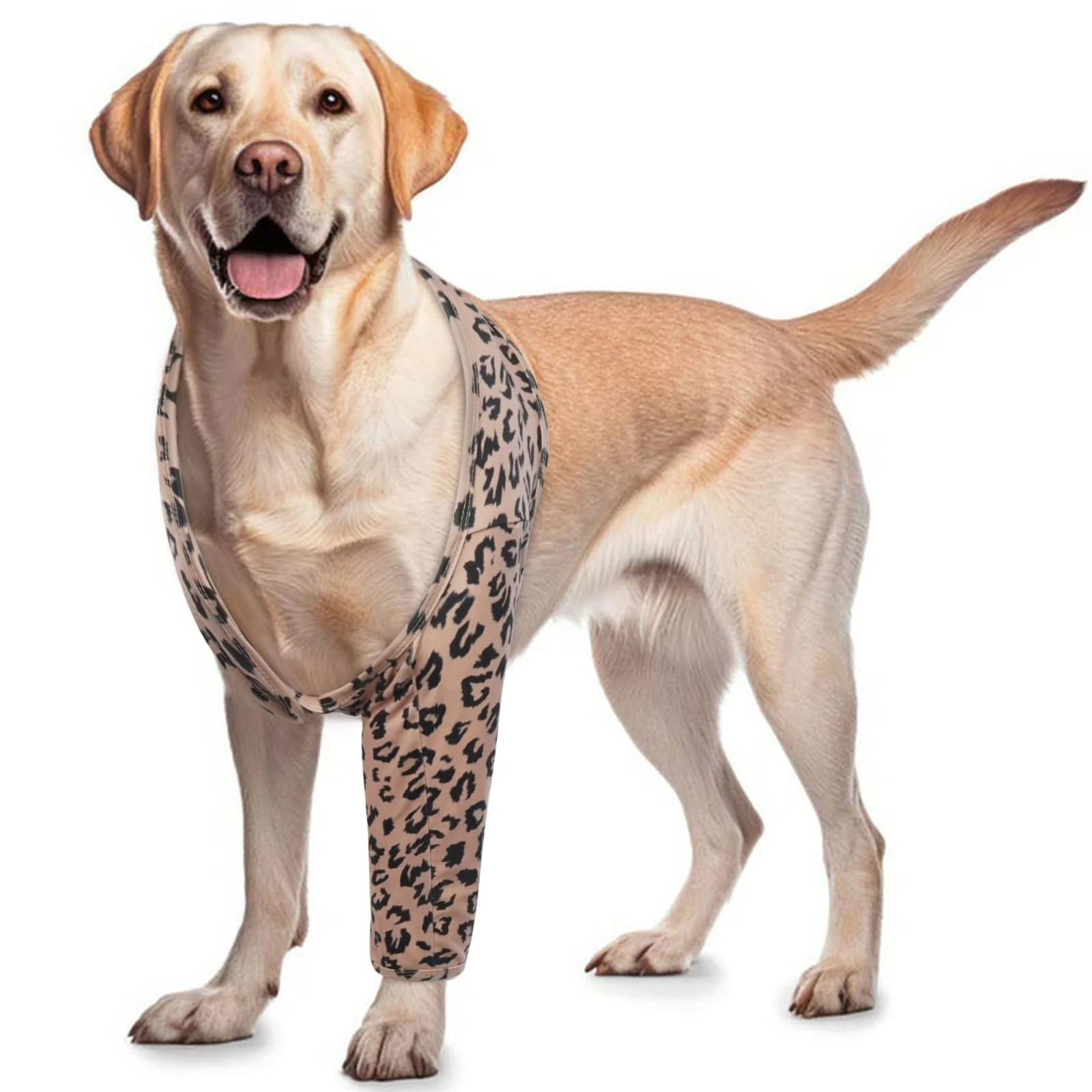 Elite ROZKITCH Dog Elbow Sleeve for Front Legs — Wound Protection Recovery Brown Size S Smart
